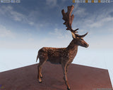 Fallow Deer for Unreal Engine 4