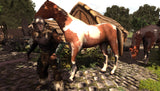 Nordraic Warrior & Horse