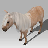 Shetland Pony 'Dinky'
