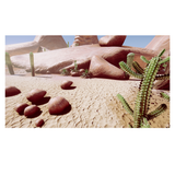 HDRP Desert Rock & Foliage Pack
