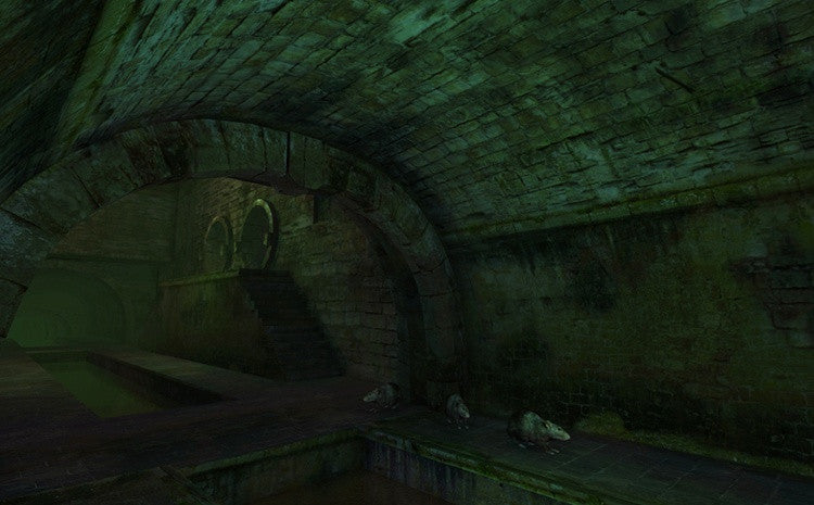 Medieval Sewer