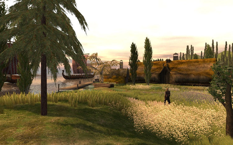 Viking Village