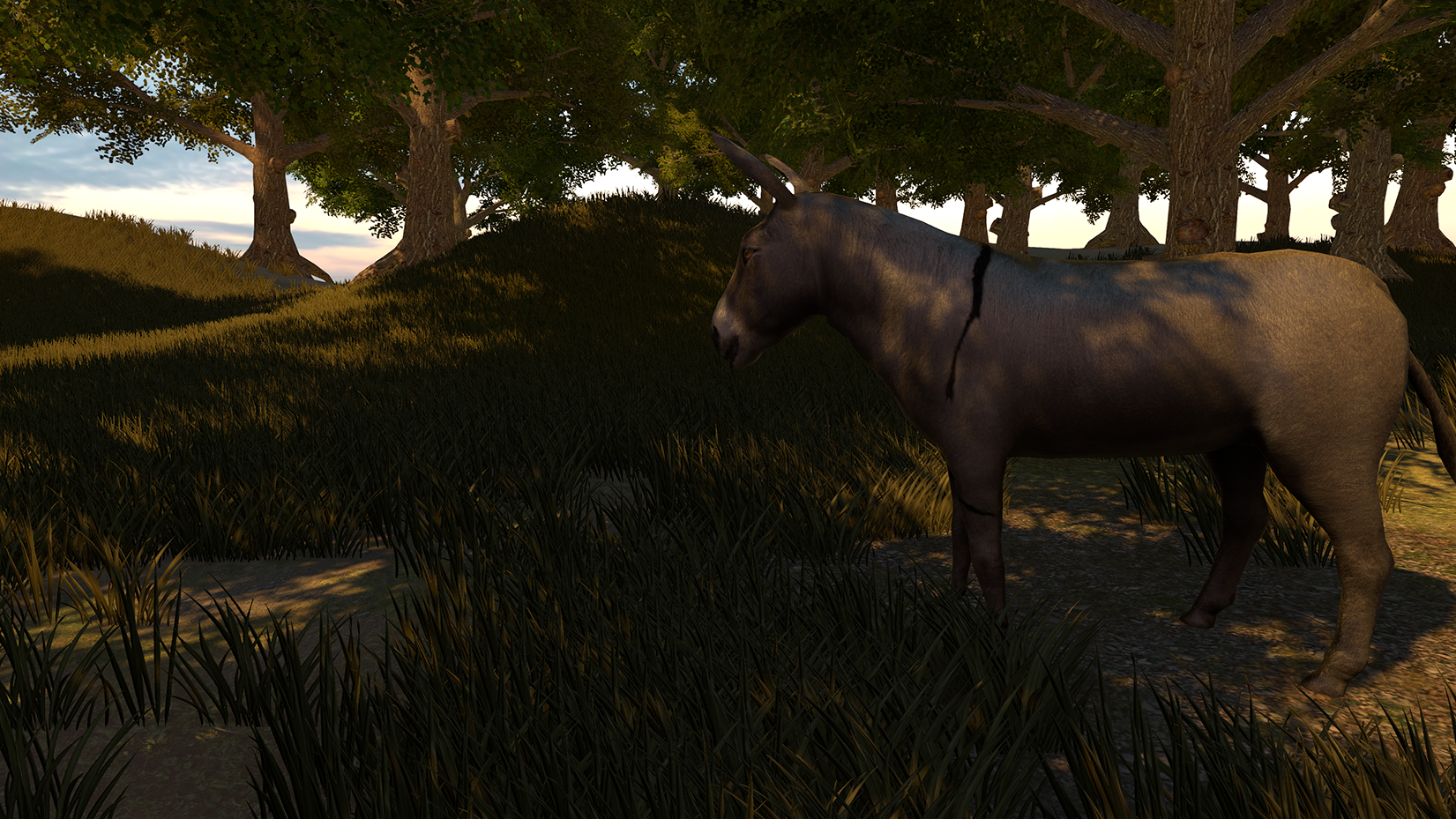Donkey