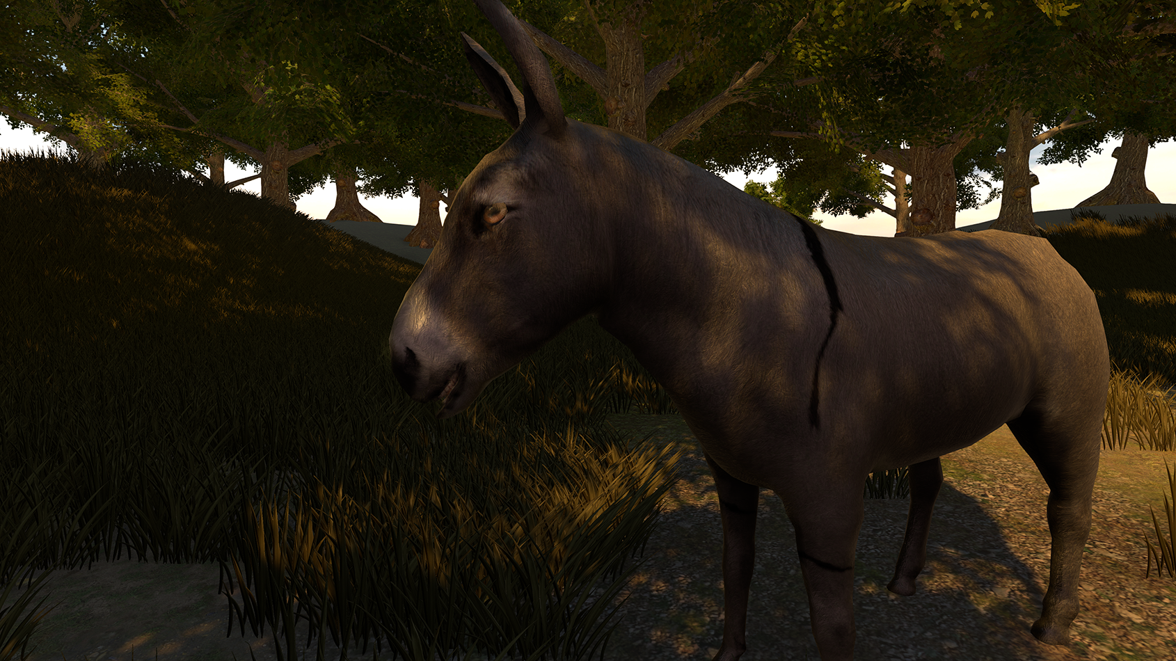 Donkey