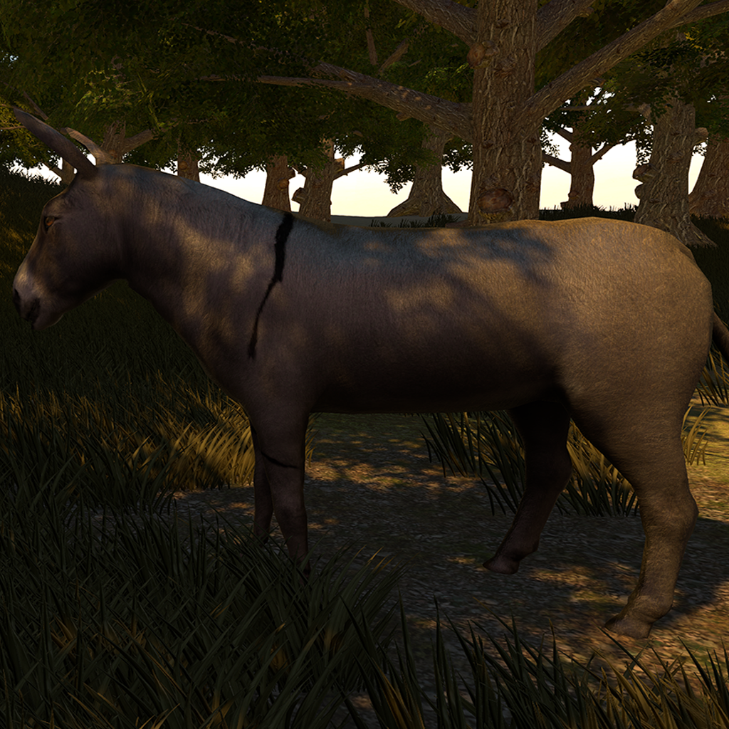 Donkey