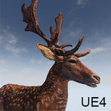 Fallow Deer for Unreal Engine 4