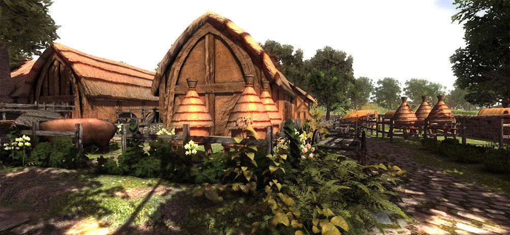 Medieval Farm