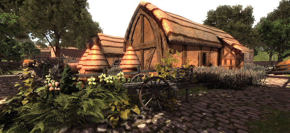 Medieval Farm