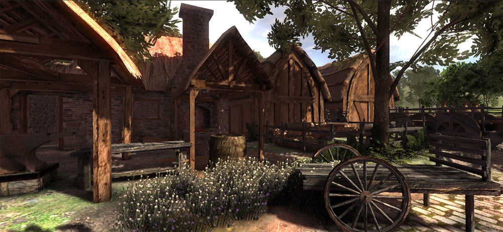 Medieval Farm