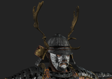 Samurai Warrior for FUSE