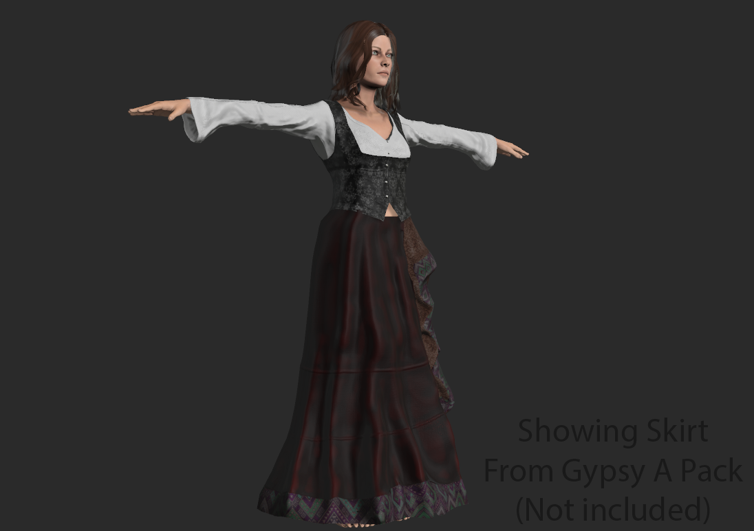 Gypsy Female Costume B