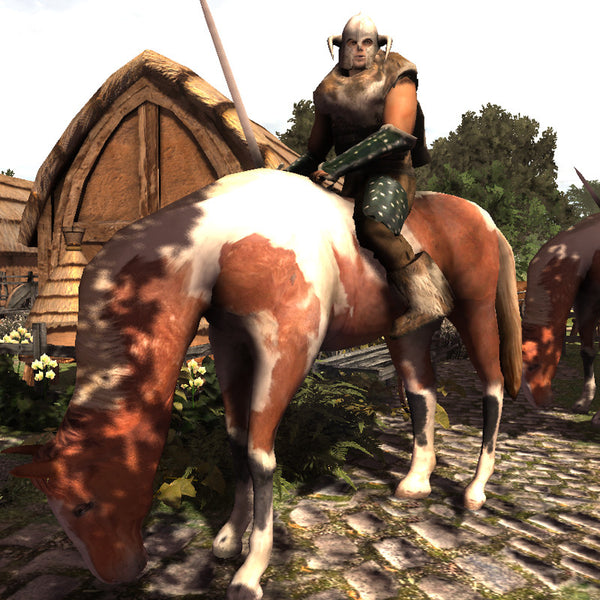 Nordraic Warrior & Horse