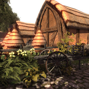 Medieval Farm