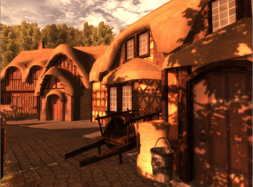 Medieval Village