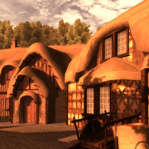 Medieval Village