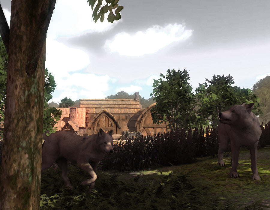 PLains Wolf