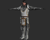Paladin Armour for FUSE