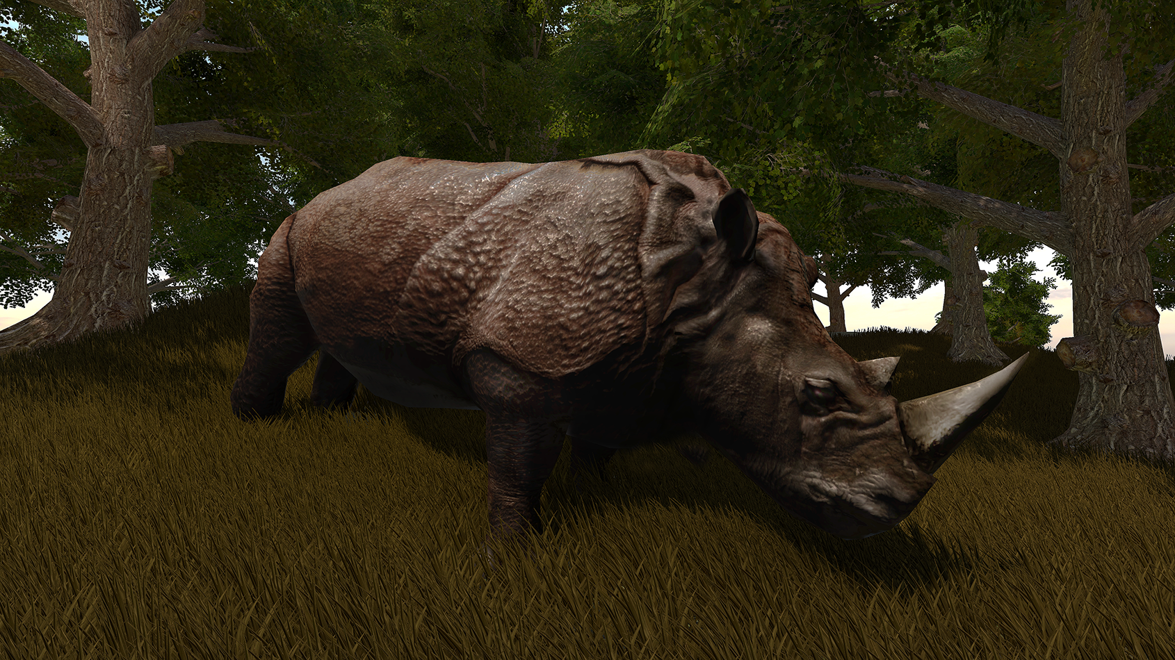 Rhino