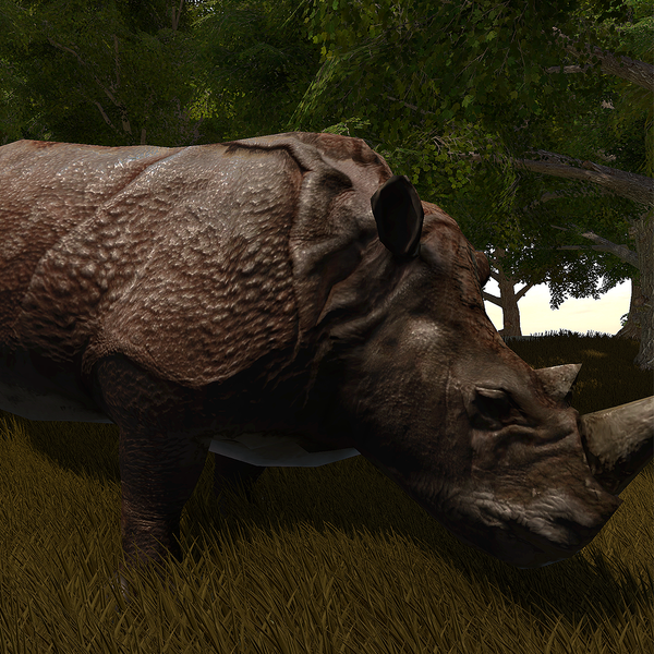 Rhino