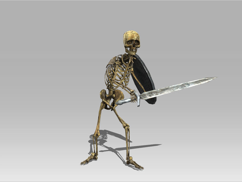 Skeleton Warrior
