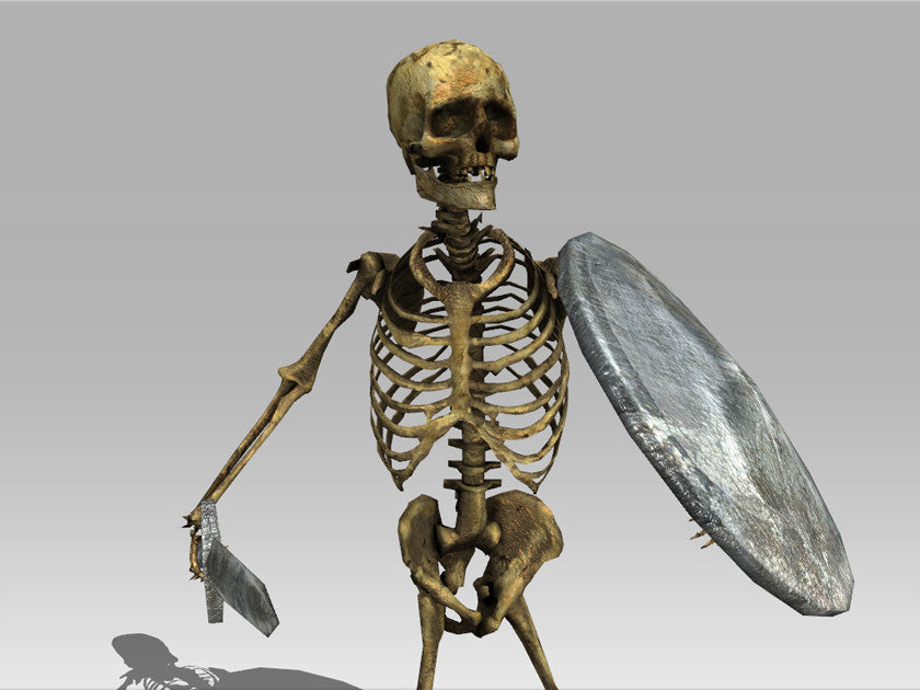 Skeleton Warrior