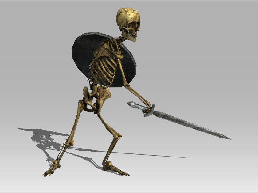 Skeleton Warrior