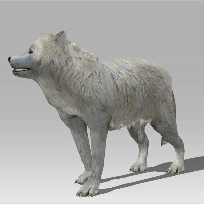 Snow Wolf