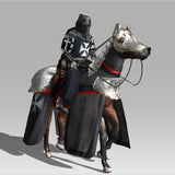 Templar & Horse