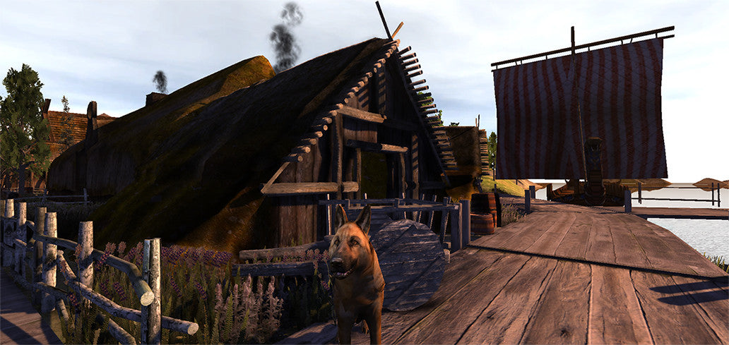 UNITY Viking Pack Level