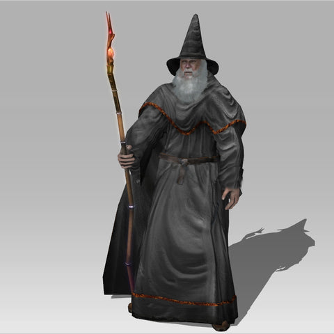 The Old Wise Wizard