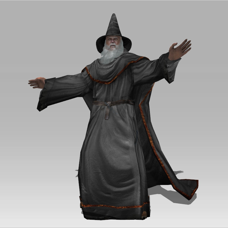 The Old Wise Wizard